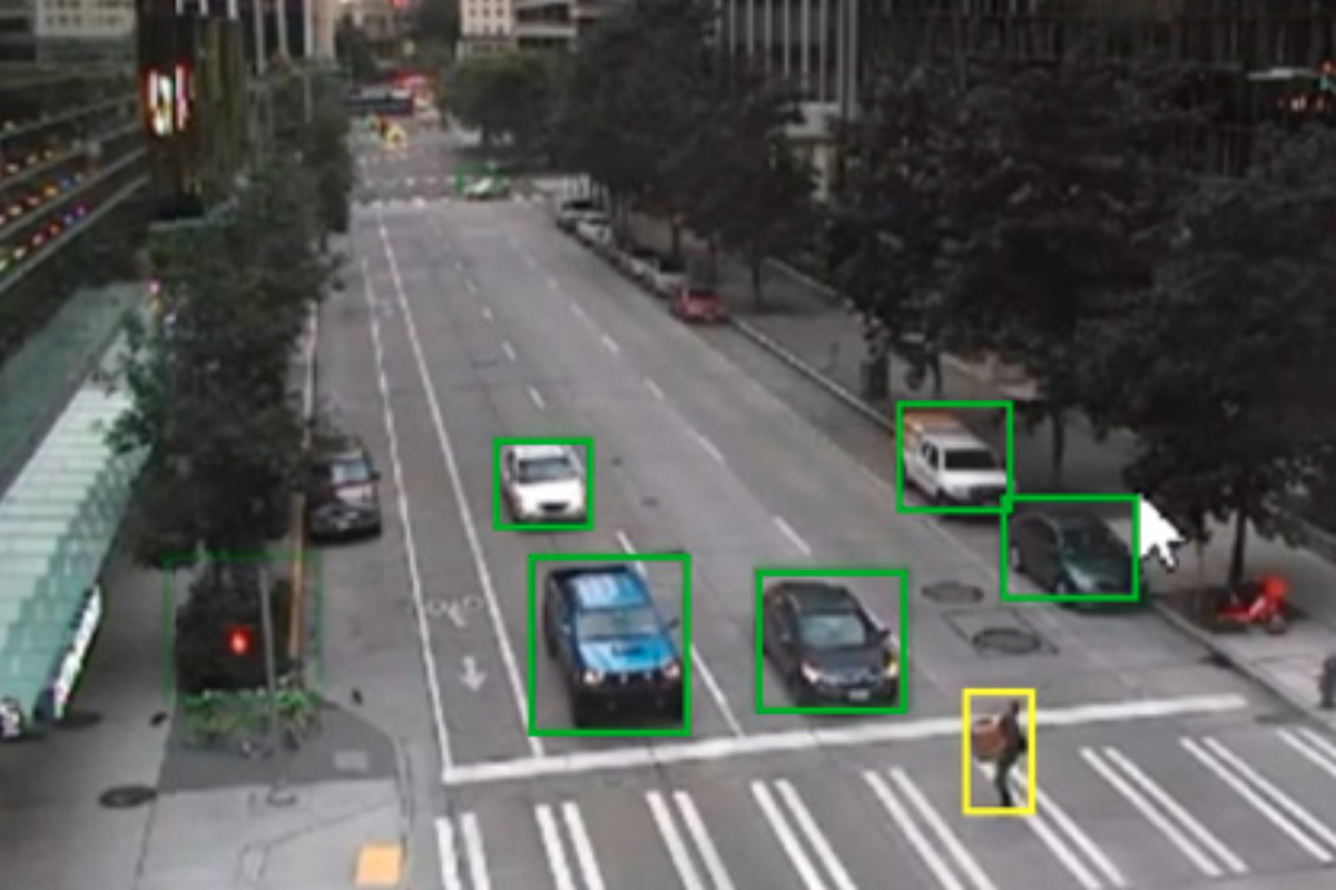 IZCI Multi-Camera View