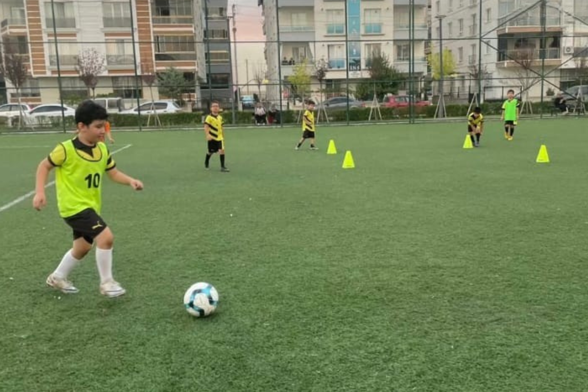 NextSTR Player Comparison