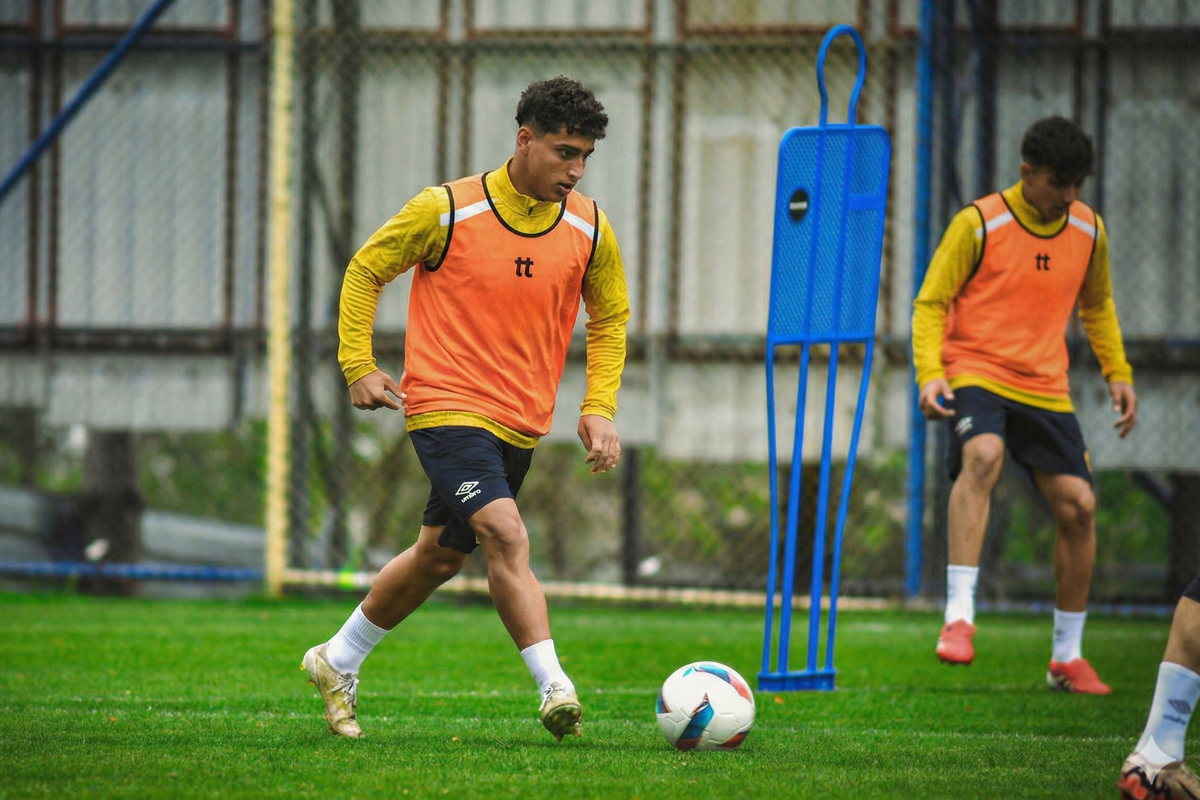 NextSTR Player Profile